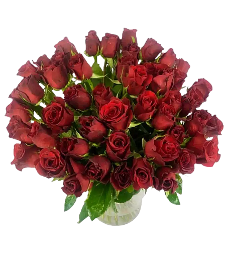 50x red roses Rhodos